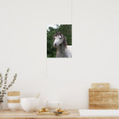 Bob Langrish | Dapple Gray Welsh Pony Headshot Poster (Keuken)