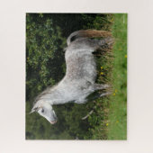 Bob Langrish | Dapple Gray Welsh Pony Standing Legpuzzel (Verticaal)