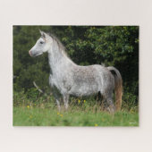Bob Langrish | Dapple Gray Welsh Pony Standing Legpuzzel (Horizontaal)