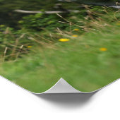 Bob Langrish | Dapple Gray Welsh Pony Standing Poster (Hoek)