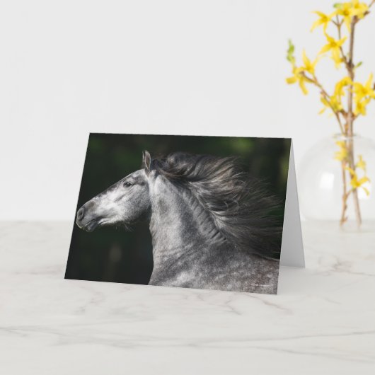 Bob Langrish | Dapple Grey Andalucian headshot Kaart (Gele Bloem)