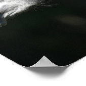 Bob Langrish | Dapple Grey Andalucian headshot Poster (Hoek)