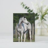 Bob Langrish | Dapple Grey Quarter Horse Briefkaart (Staand voorkant)
