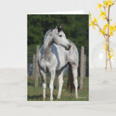 Bob Langrish | Dapple Grey Quarter Horse Kaart (Gele Bloem)