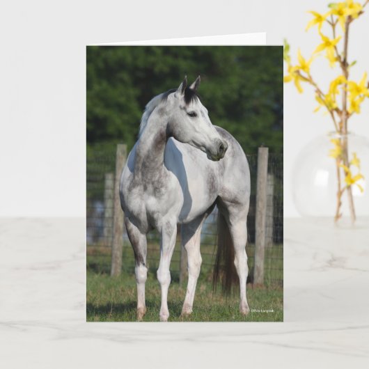 Bob Langrish | Dapple Grey Quarter Horse Kaart (Gele Bloem)