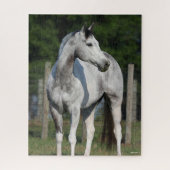 Bob Langrish | Dapple Grey Quarter Horse Legpuzzel (Verticaal)