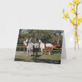 Bob Langrish | De Arabische Mares en de Foalen Kaart (Gele Bloem)