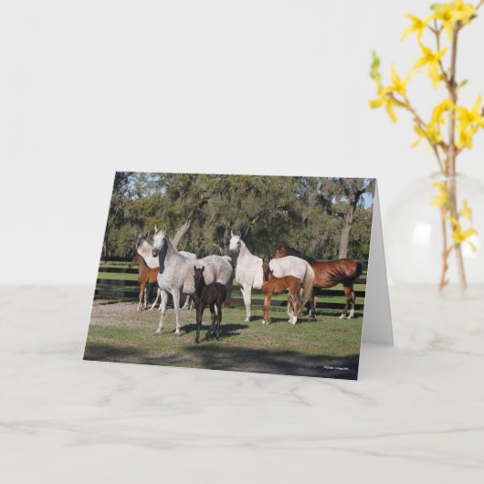 Bob Langrish | De Arabische Mares en de Foalen Kaart (Gele Bloem)