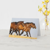 Bob Langrish | Drie Andalucian Mares aan het werk Kaart (Gele Bloem)