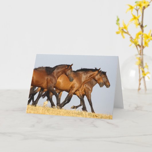 Bob Langrish | Drie Andalucian Mares aan het werk Kaart (Gele Bloem)