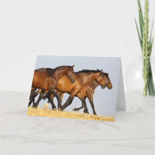 Bob Langrish   Drie Andalucian Mares aan het werk Kaart