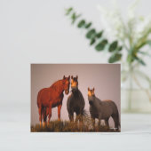 Bob Langrish | Drie Arabieren staan op zonsonderga Briefkaart (Staand voorkant)