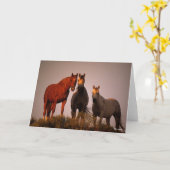 Bob Langrish | Drie Arabieren staan op zonsonderga Kaart (Gele Bloem)