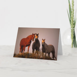 Bob Langrish   Drie Arabieren staan op zonsonderga Kaart