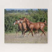 Bob Langrish | Drie Arabische kastanjepaarden Legpuzzel (Horizontaal)