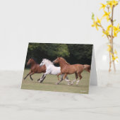 Bob Langrish | Drie Arabische paarden die samenlev Kaart (Gele Bloem)