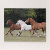 Bob Langrish | Drie Arabische paarden die samenlev Legpuzzel (Horizontaal)