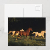 Bob Langrish Drie Arabs die 's avonds licht rondre Briefkaart (Voorkant / Achterkant)