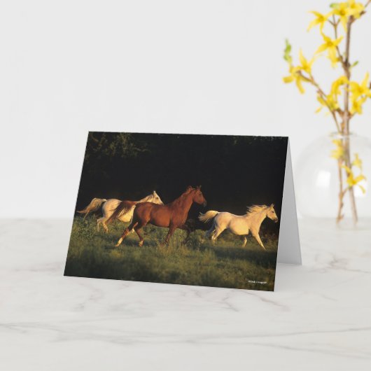 Bob Langrish Drie Arabs die 's avonds licht rondre Kaart (Gele Bloem)