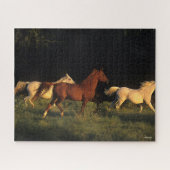 Bob Langrish Drie Arabs die 's avonds licht rondre Legpuzzel (Horizontaal)