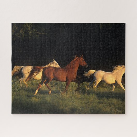 Bob Langrish Drie Arabs die 's avonds licht rondre Legpuzzel (Horizontaal)