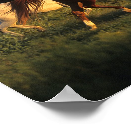 Bob Langrish Drie Arabs die 's avonds licht rondre Poster (Hoek)