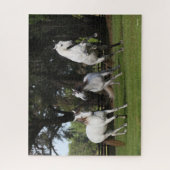 Bob Langrish | Drie grijze Andalucians Leaping Legpuzzel (Verticaal)