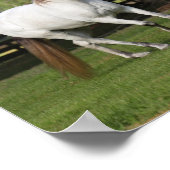 Bob Langrish | Drie grijze Andalucians Leaping Poster (Hoek)