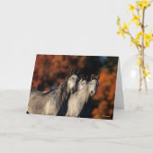 Bob Langrish | Drie grijze Arabieren die samen sta Kaart (Gele Bloem)