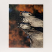 Bob Langrish | Drie grijze Arabieren die samen sta Legpuzzel (Verticaal)