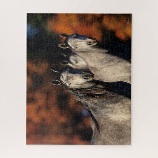 Bob Langrish | Drie grijze Arabieren die samen sta Legpuzzel (Verticaal)