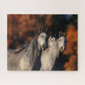 Bob Langrish | Drie grijze Arabieren die samen sta Legpuzzel (Horizontaal)