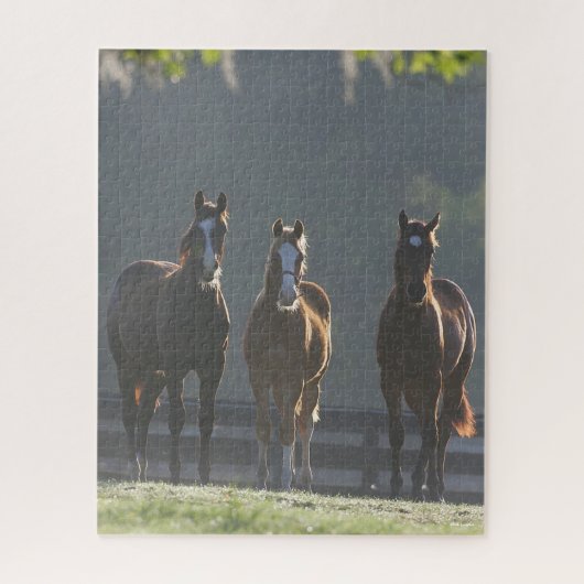 Bob Langrish | Drie kwart van de jongere paarden Legpuzzel (Verticaal)