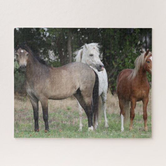 Bob Langrish | Drie pony's die met elkaar samenwer Legpuzzel (Horizontaal)