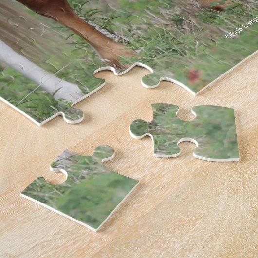 Bob Langrish | Drie pony's die met elkaar samenwer Legpuzzel (Zijkant)