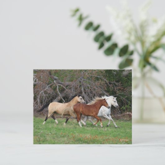 Bob Langrish | Drie pony's die samenwerken Briefkaart (Staand voorkant)