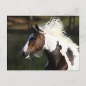 Bob Langrish | Drum Horse Headshot Briefkaart (Voorkant)