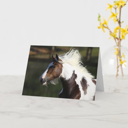 Bob Langrish | Drum Horse Headshot Kaart (Gele Bloem)