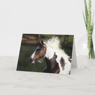 Bob Langrish   Drum Horse Headshot Kaart