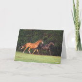 Bob Langrish | Duitse Pony en Oldenburg Kaart (Voorkant)