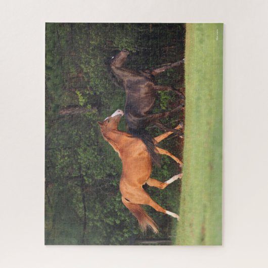 Bob Langrish | Duitse Pony en Oldenburg Legpuzzel (Verticaal)