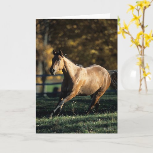 Bob Langrish | Dun Quarter Horse Running Kaart (Gele Bloem)