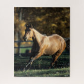 Bob Langrish | Dun Quarter Horse Running Legpuzzel (Verticaal)