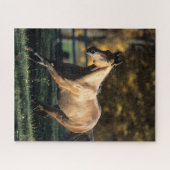 Bob Langrish | Dun Quarter Horse Running Legpuzzel (Horizontaal)