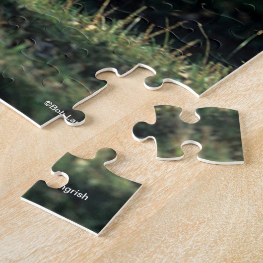 Bob Langrish | Dun Quarter Horse Running Legpuzzel (Zijkant)