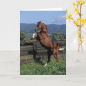 Bob Langrish | Fokken van de Arabische kastanjeboo Kaart (Gele Bloem)