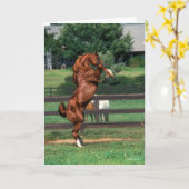 Bob Langrish | Fokken van de Arabische kastanjeboo Kaart (Gele Bloem)