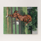 Bob Langrish | Fokken van de Arabische kastanjeboo Legpuzzel (Horizontaal)