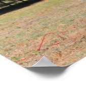 Bob Langrish | Fokkerij in Akhal Teke Stallion Poster (Hoek)