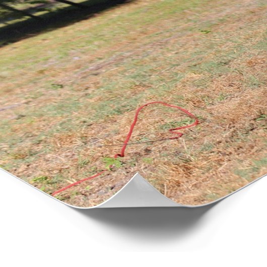 Bob Langrish | Fokkerij in Akhal Teke Stallion Poster (Hoek)